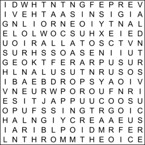 Diagonal Zig Zag Word Search 15x15