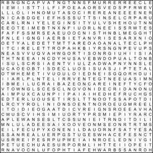 Diagonal Zig Zag Word Search 30x30