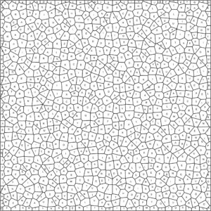 Random Shapes Zig Zag Word Search 30x30