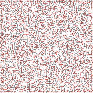 Random Shapes Zig Zag Word Search 30x30 Solution