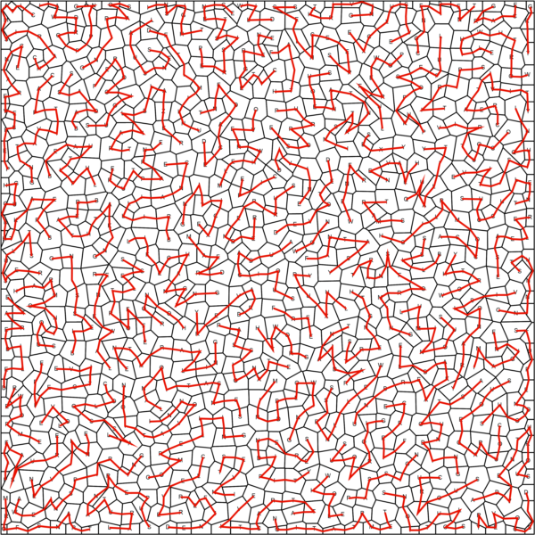 Random Shapes Zig Zag Word Search 30x30 Solution