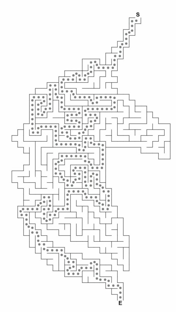 Puzzle Maker Pro Mazes shaped maze unicorn solution