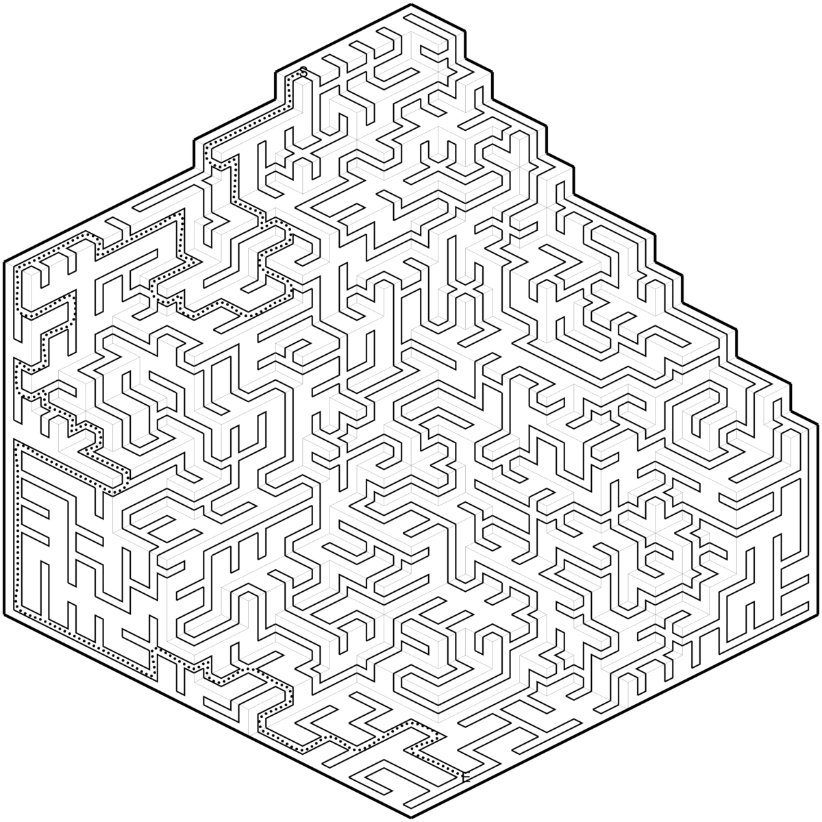 Random Maze with 30 pct path