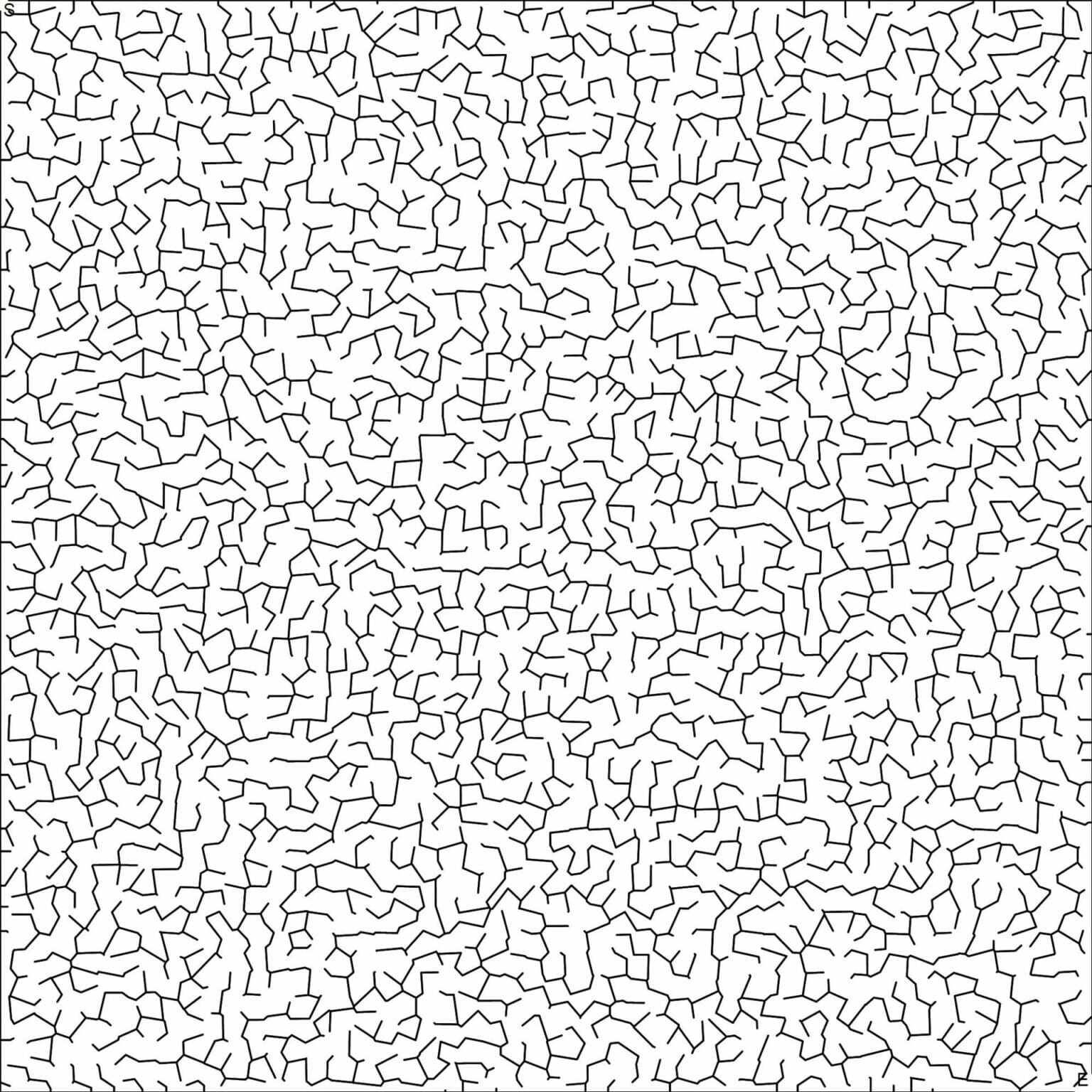 Puzzle Maker Pro Mazes 2D Random Shapes BookPublisherTools