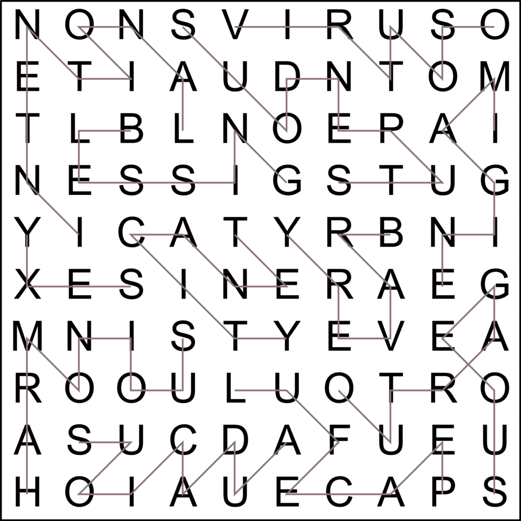 Puzzle Maker Pro - Zig Zag Word Search - Bundle 1 | BookPublisherTools