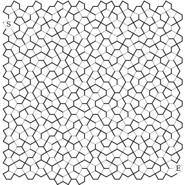 An Exotic Pattern maze on the Cairo pentagonal tiling — five-sided cells, Start and Finish marked
