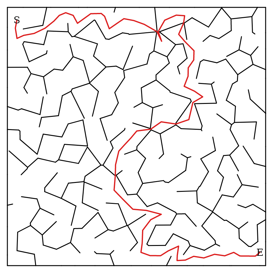The same Voronoi maze solved — the S→E chain of cells highlighted in red