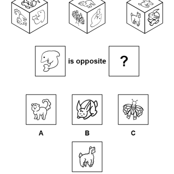 A cube puzzle with animal line drawings on the faces: three views, the dolphin is opposite which animal, and four animal answer options