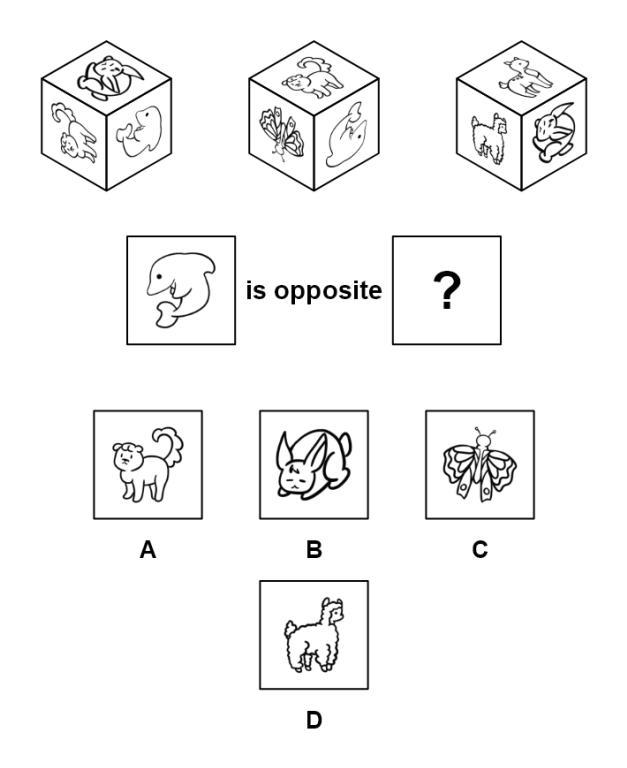 A cube puzzle with animal line drawings on the faces: three views, the dolphin is opposite which animal, and four animal answer options