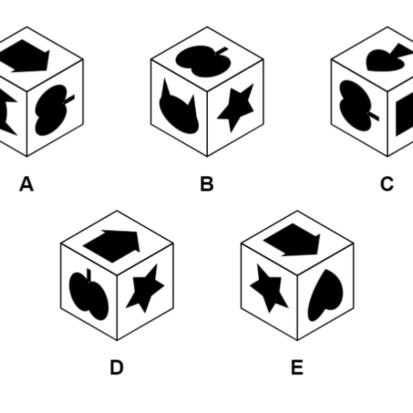A spatial reasoning cube puzzle: five drawings of a cube with black shapes on its faces, labeled A to E, one of which cannot be the same cube