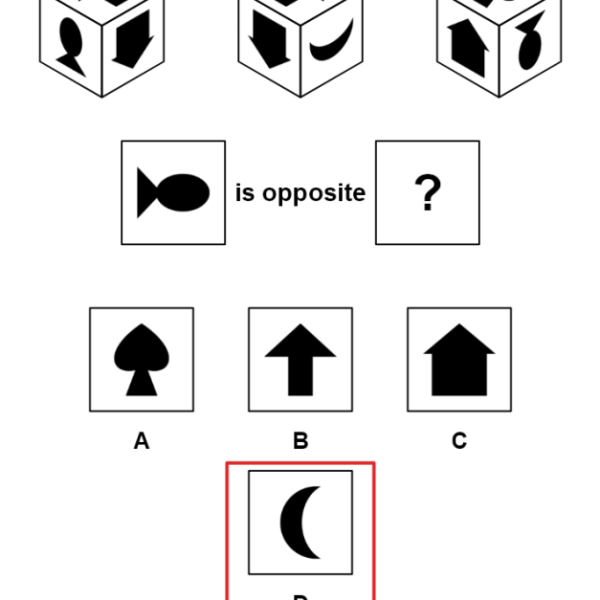 An opposite-face cube puzzle with three cube views, the question fish is opposite which face, four options and option D ringed with Answer: D