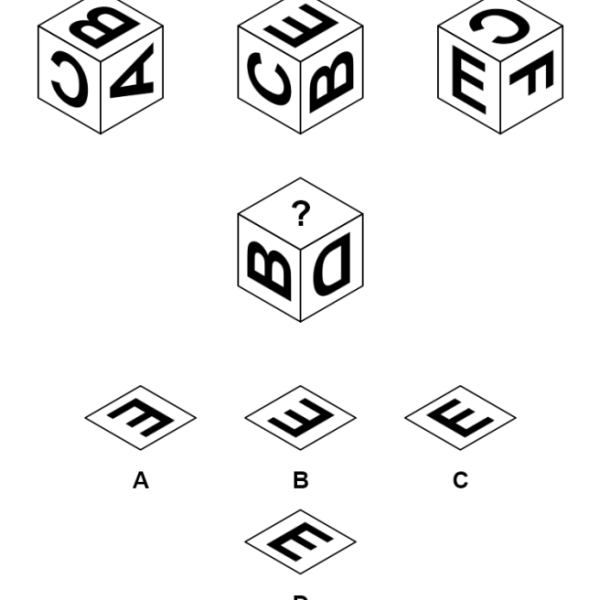 A which-way-it-points cube puzzle with letters on the faces and four turned letter E options A to D