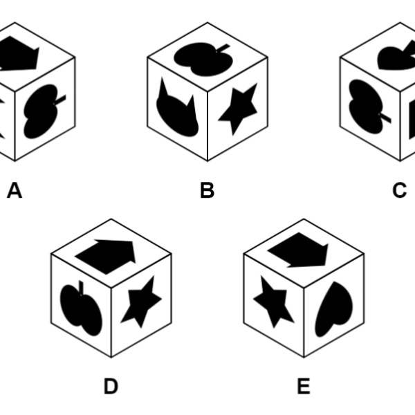 An impossible view puzzle: five lettered cubes with picture faces, four showing the same cube and one that cannot exist