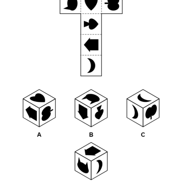 A cube net puzzle: a T-shaped net of six picture faces above four lettered cubes, only one of which the net folds into