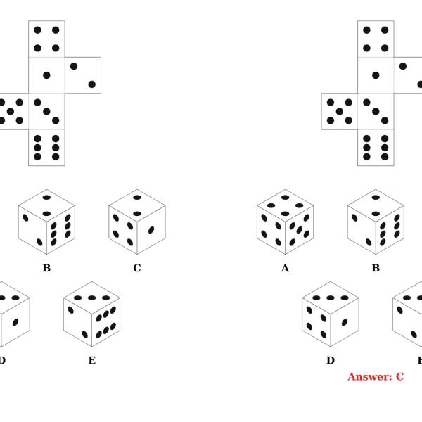 A cube net puzzle with dice faces beside its answer key, where a red ring marks cube C and the line Answer: C is printed below
