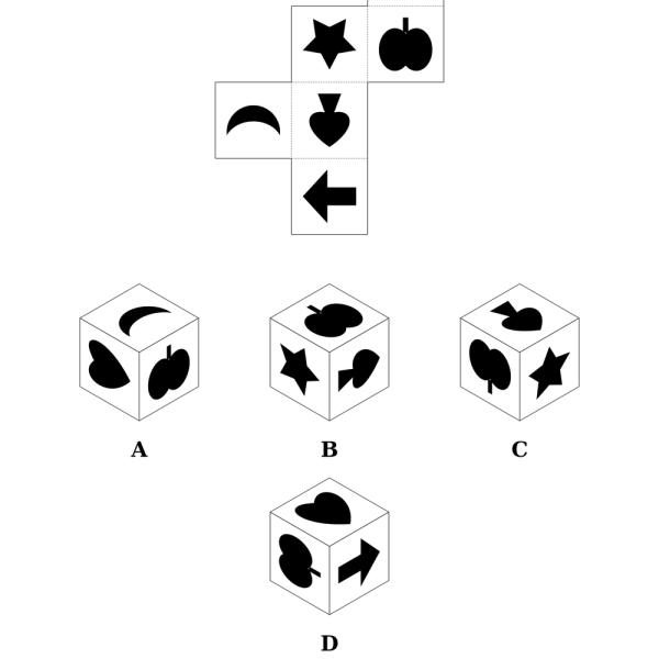 A printable cube net puzzle: a net of six black silhouettes at the top and four lettered cubes A to D below